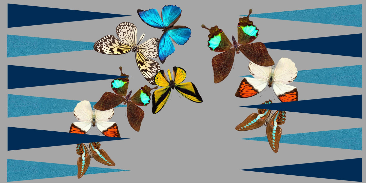 Game, Backgammon- Grey Butterfly