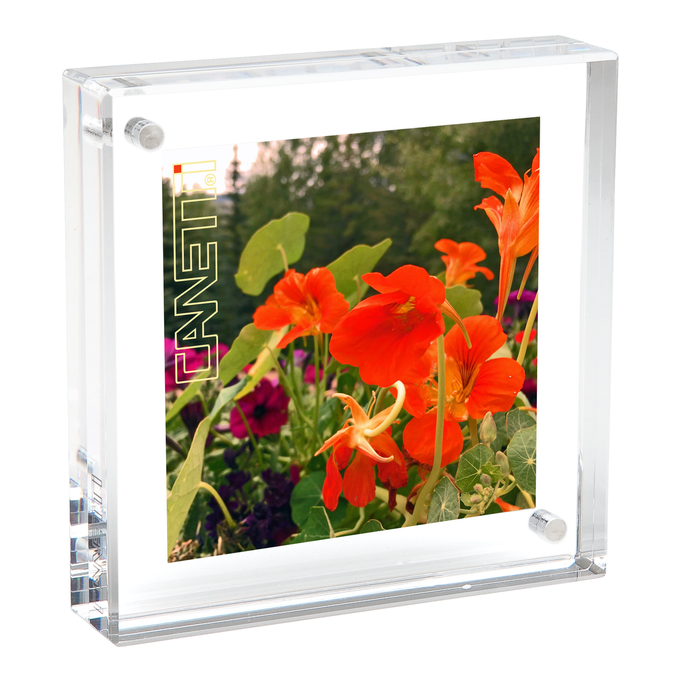 The Original Magnet Frame - Clear, Acrylic Frames - 13 Sizes: 6"x8"