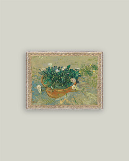 Basket of Daisies: 7x5