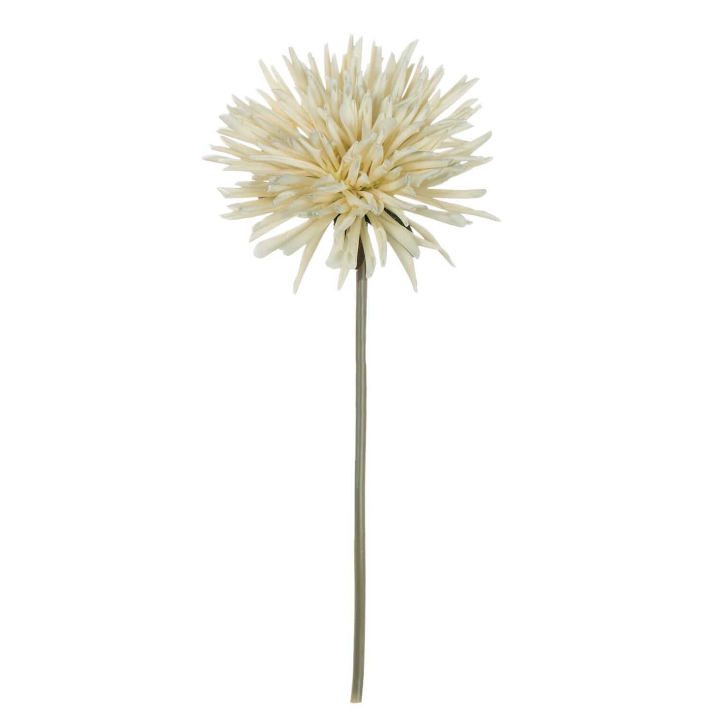 Dalia Spray