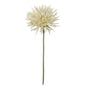 Dalia Spray