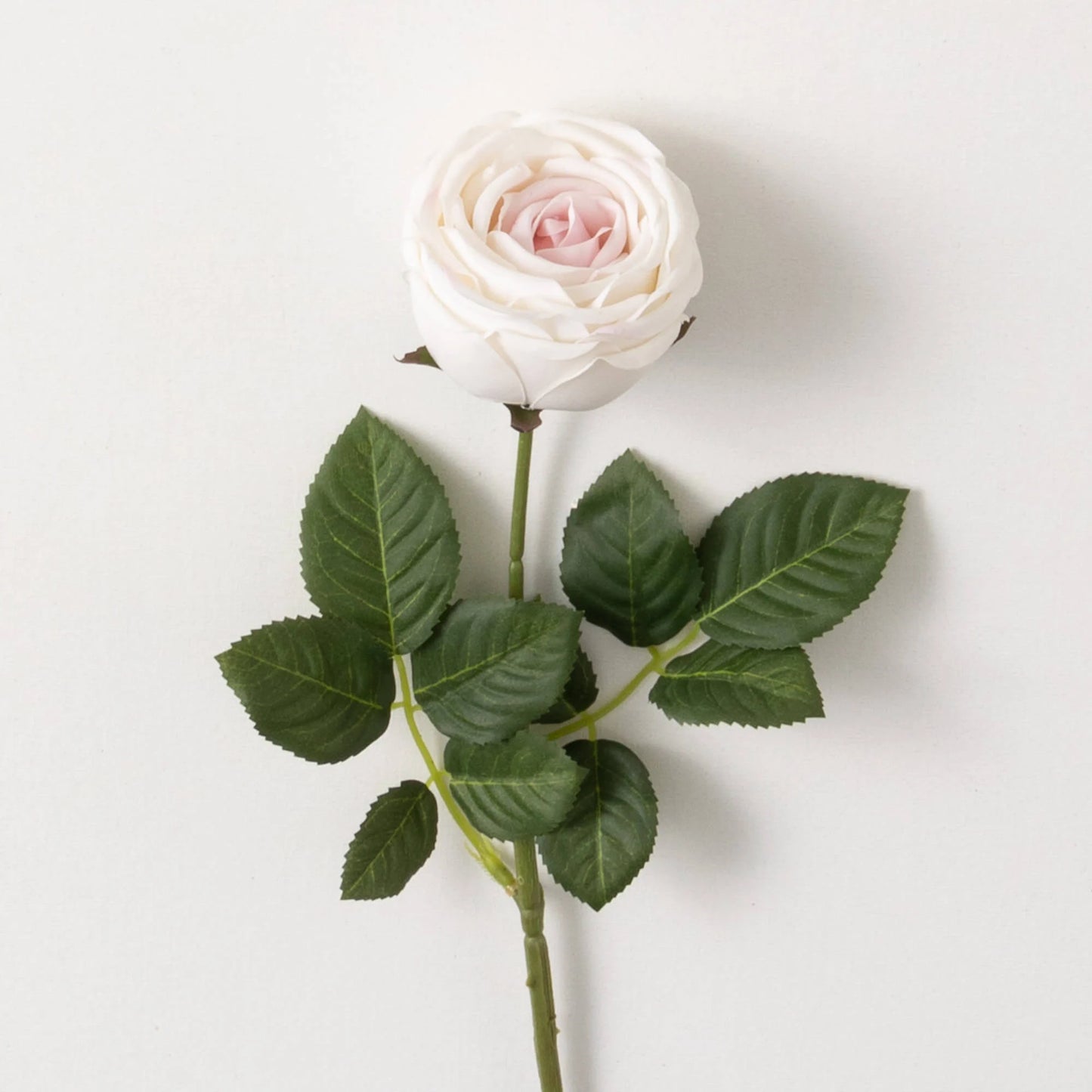 Rose Spray