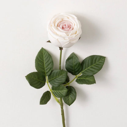 Rose Spray