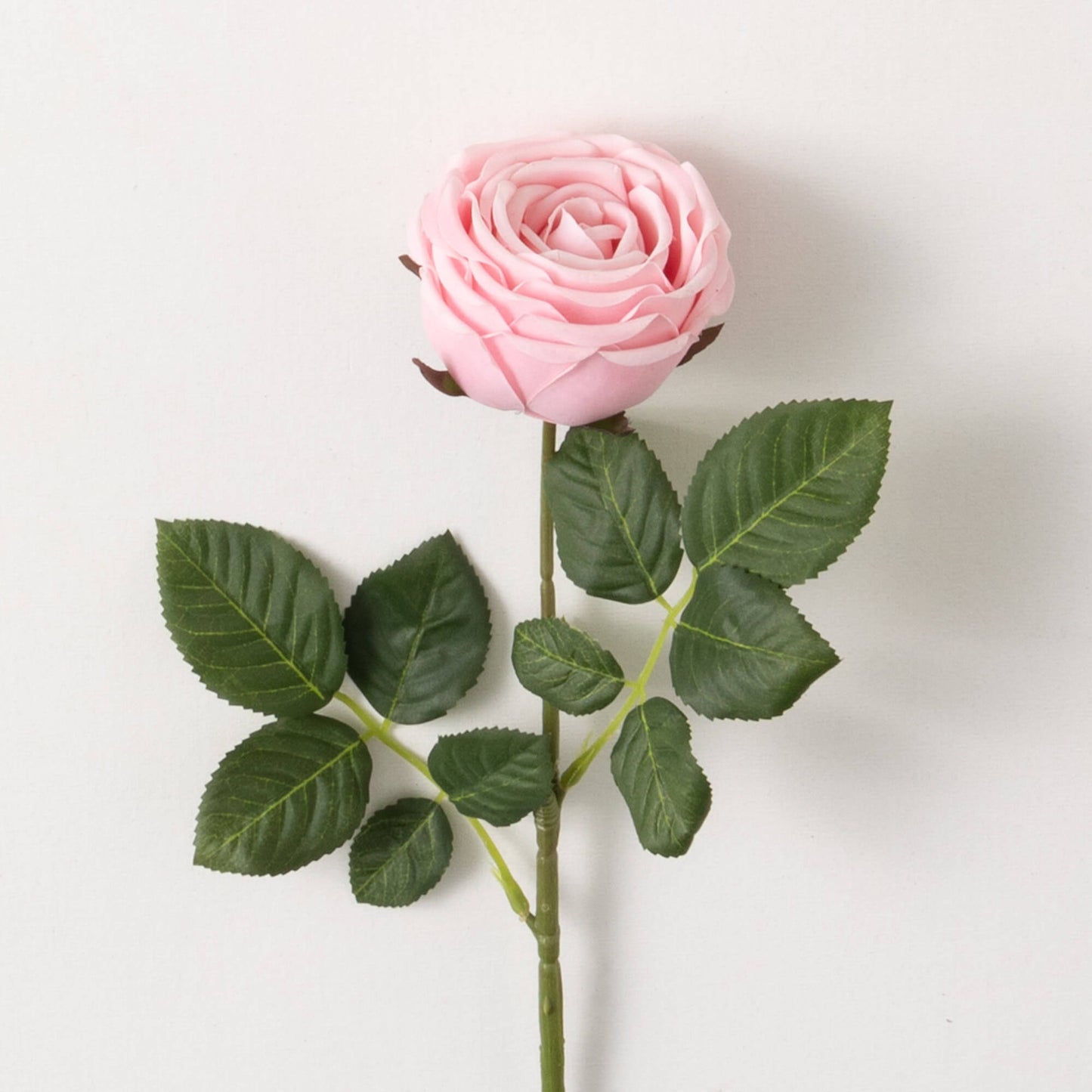 Rose Spray