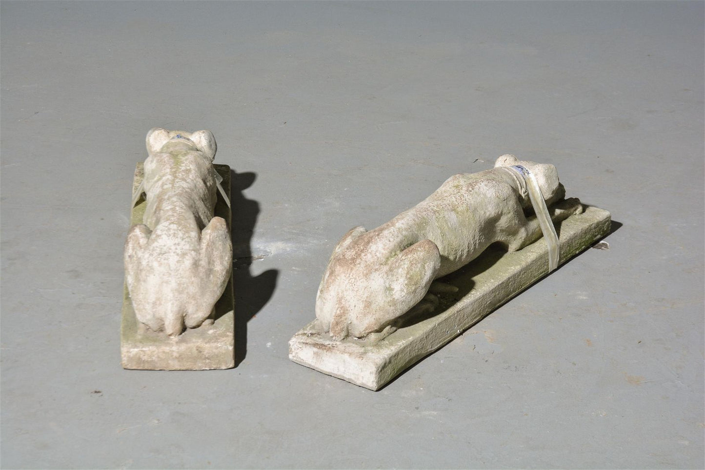 PAIR Concrete Whippets 27"