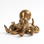 Octopus Matte Gold