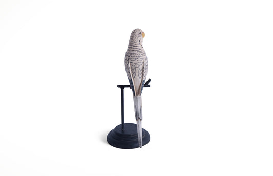 Gray White Budgerigarr 10"