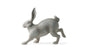 Lapin Lunaire IV