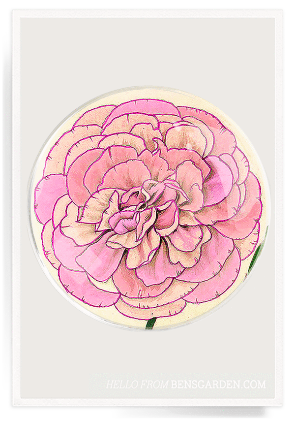 "Pink Flower" 6" Round Tray