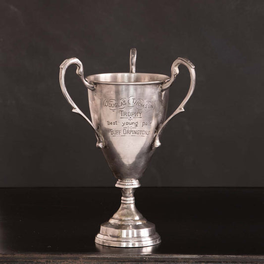 Best Buff Orpingtons Pair Trophy 11"