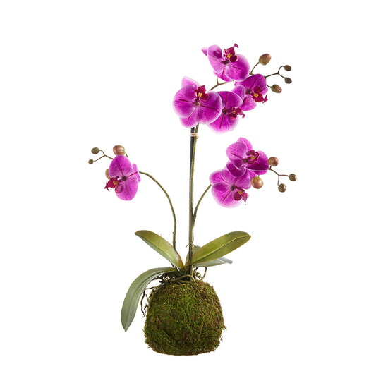 24" Real Touch Purple Orchid