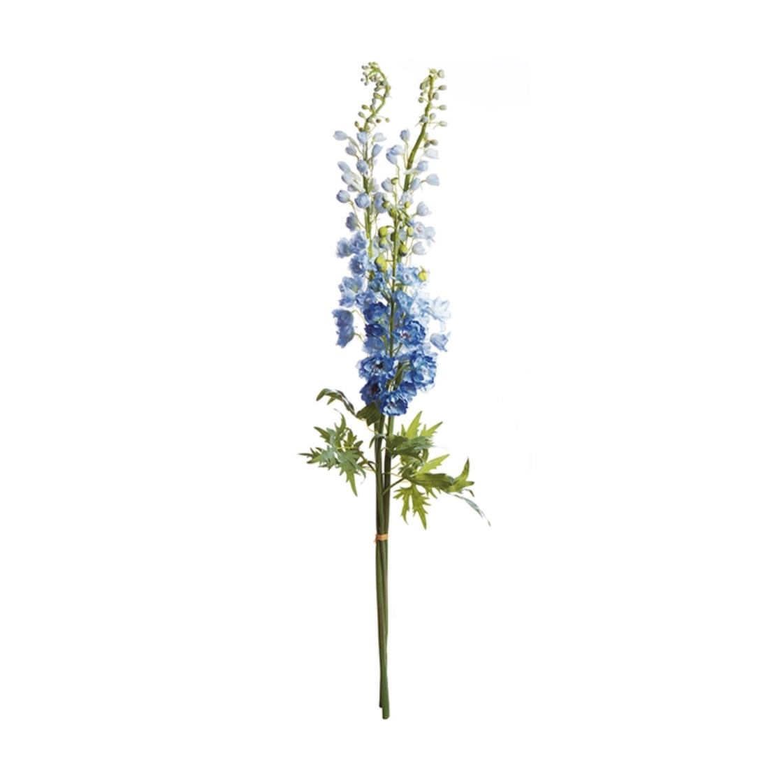 Delphiniums Blue 49" Bundle/3
