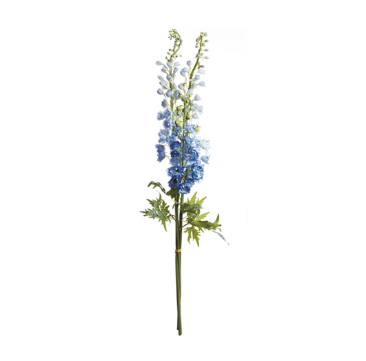 Delphiniums Blue 49" Bundle/3