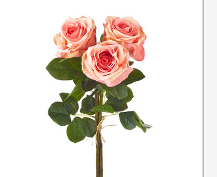 28" Rl Tch Coral Rose Bundle