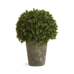 BB Faux Boxwood 13.5" Potted