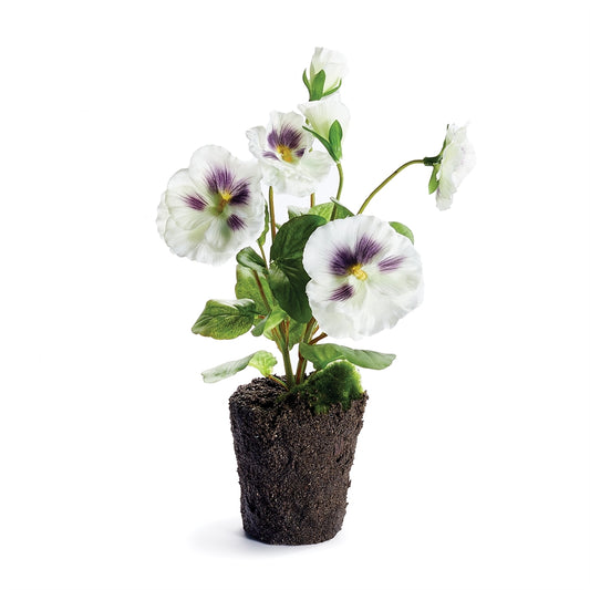 Pansy Drop In 11.5" White