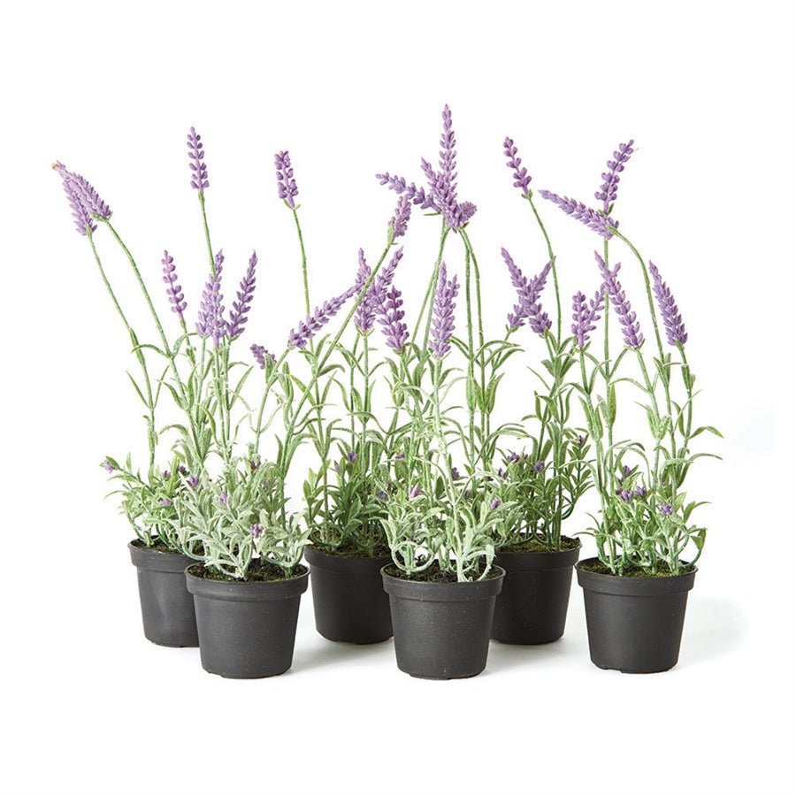 French Lavender 13" Drop In