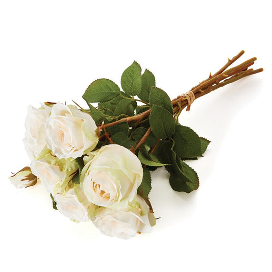 English Rose Bundle of 6 Cream