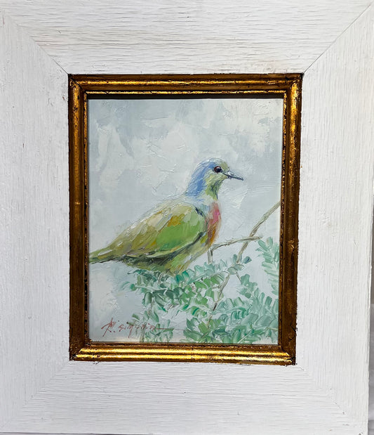 Dove ORIG Oil 14x16