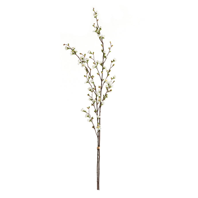 Quince Blossom Branch Bundle/2
