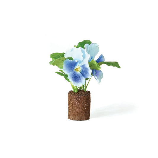 Pansy 6.5" Drop In BL