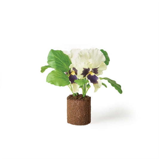 Pansy 6.5" Drop In WH
